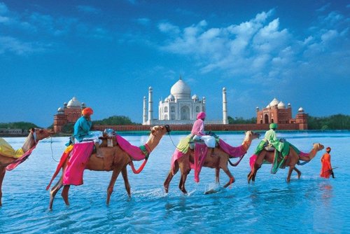 Rajasthan Tour